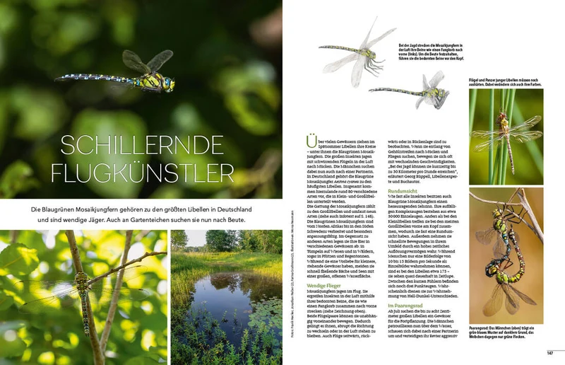 Landlust Heft 4/2025