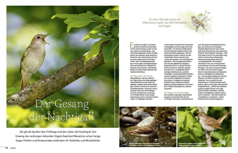Landlust Heft 3/2025