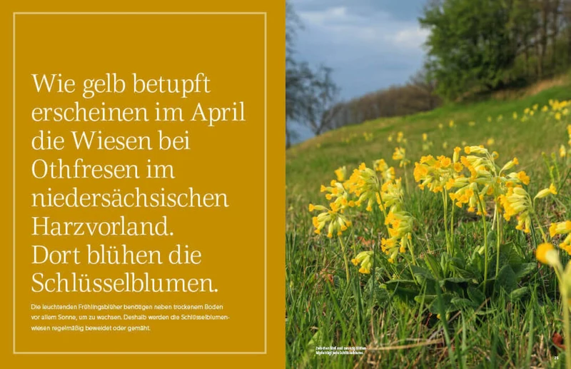 Landlust - Edition Deutschland 2025