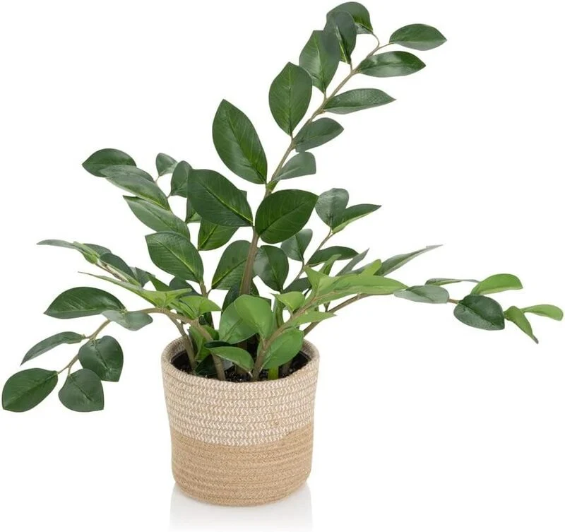 B-Ware hjh OFFICE Kunstpflanze Kunstbaum ZAMIE Zamioculcas Zimmerpflanze Pflanze grün