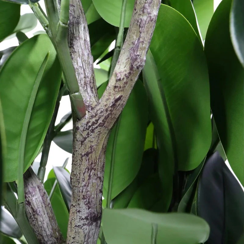 B-Ware Hjh OFFICE Kunstpflanze Mangostan Garcinia Pflanze grün Kunststoff robust 120cm