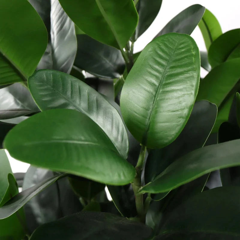B-Ware Hjh OFFICE Kunstpflanze Mangostan Garcinia Pflanze grün Kunststoff robust 120cm