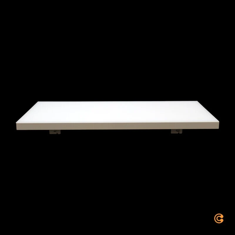 B-Ware Paulmann LED Panel Deckenleuchte Flächenleuchte weiß matt Metall Kunststoff898