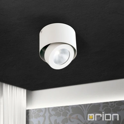 B-Ware Orion Schwenkbarer LED-Aufbauspot Deckenlampe Deckenlampe Meno Weiß dimmbar